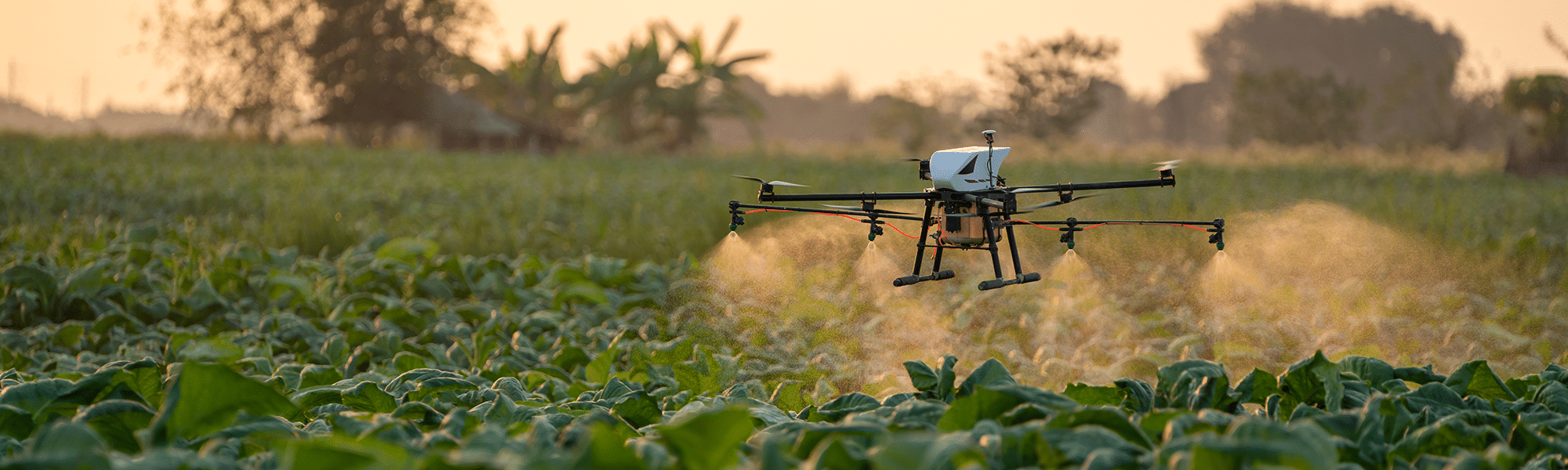 Drone distributing chemicals to crops
