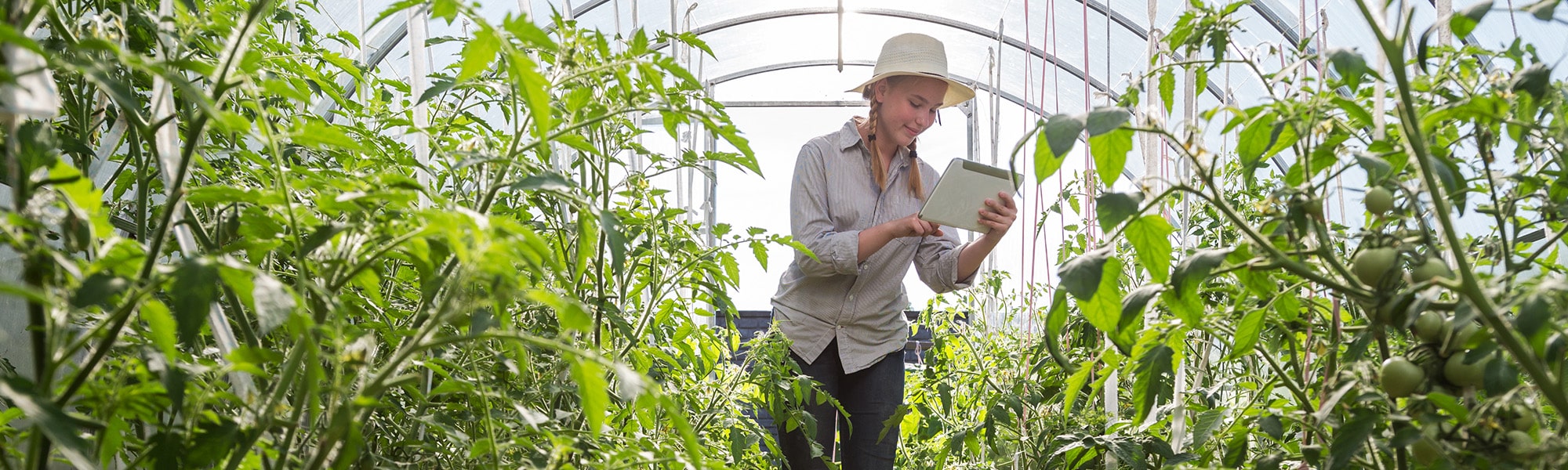 Woman working in agritech