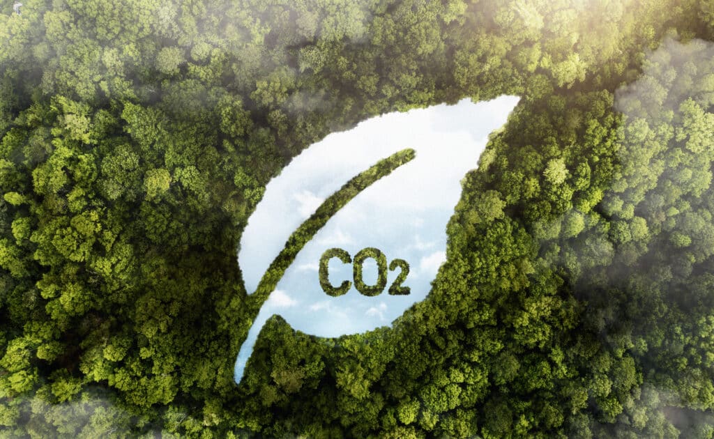 CO2 logo over forest backdrop