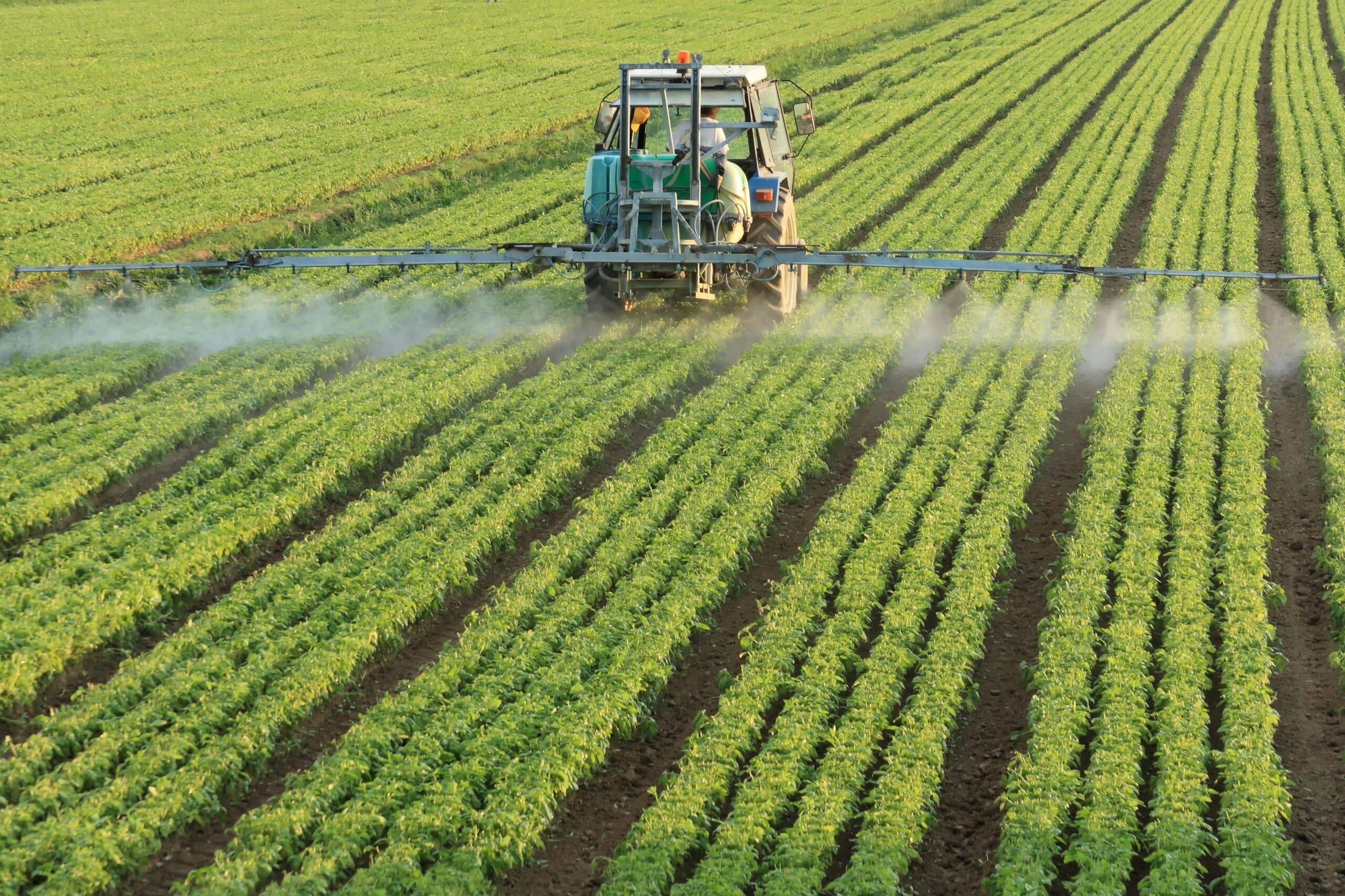 Tractor working on a field