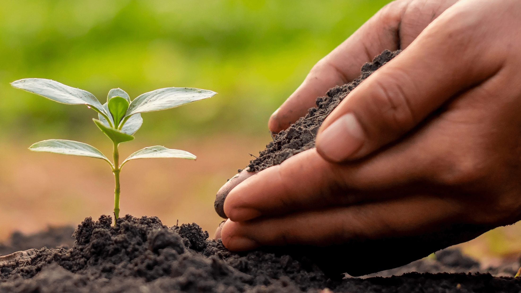 Agriculture Recruitment