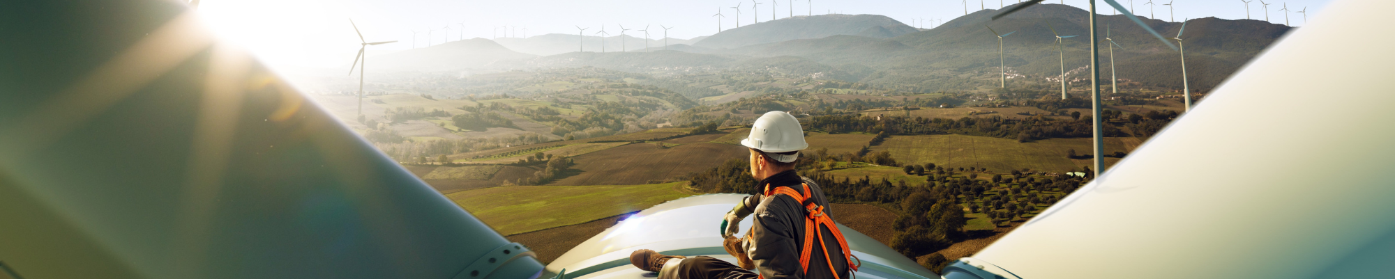 Energy professional looking at sunset