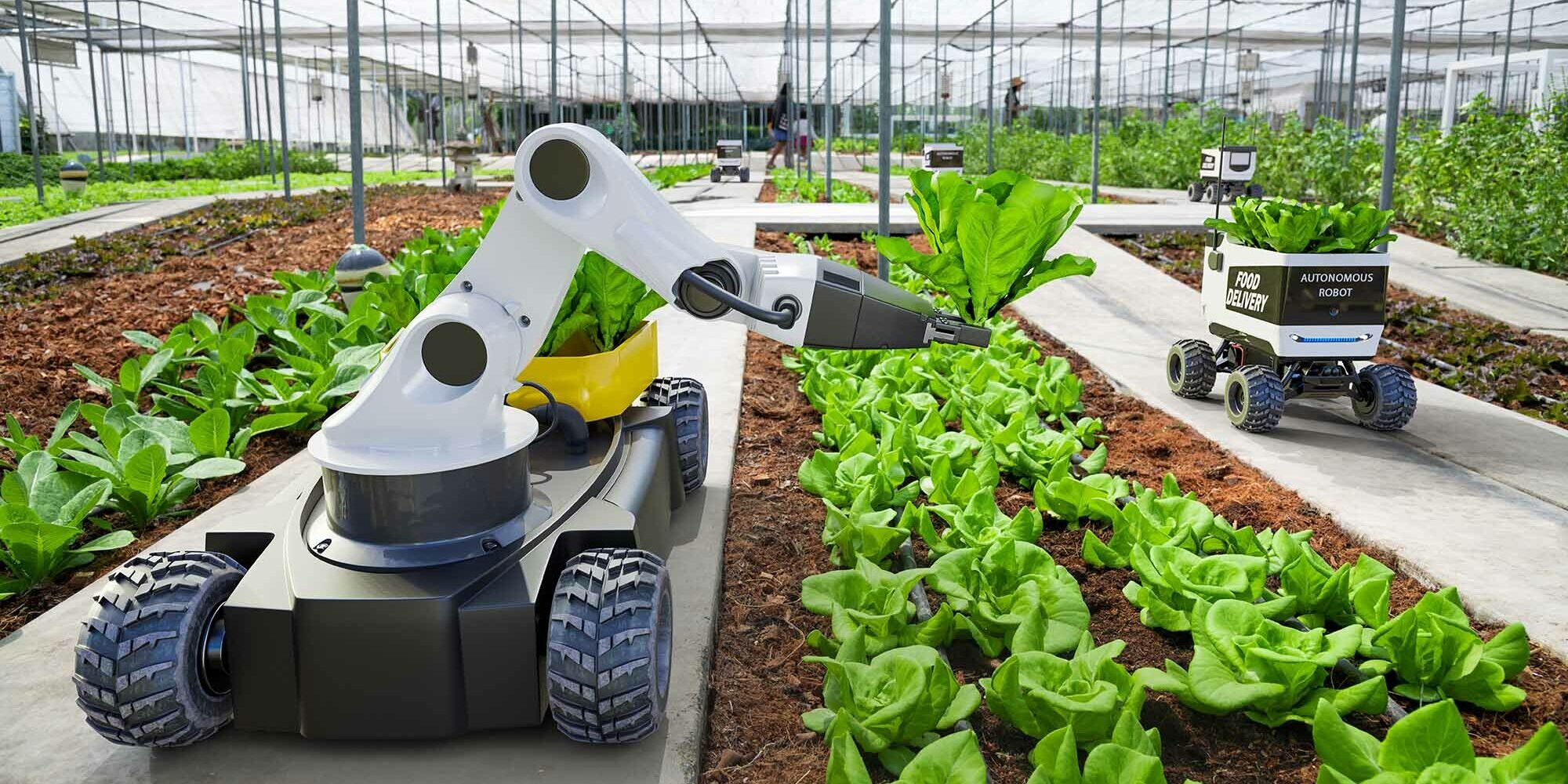 Agritech autonomous robot doing an agritech job